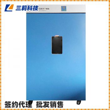 一恒大型烘箱DHG-9620A電熱恒溫鼓風(fēng)干燥箱 ,圖片,報(bào)價(jià)